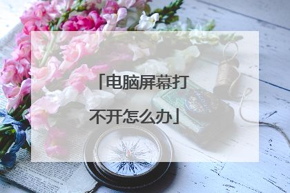 电脑屏幕打不开怎么办