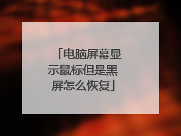 电脑屏幕显示鼠标但是黑屏怎么恢复