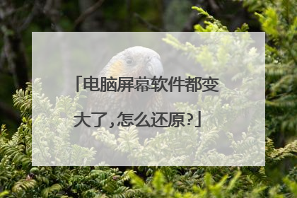 电脑屏幕软件都变大了,怎么还原?