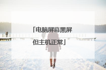 电脑屏幕黑屏但主机正常