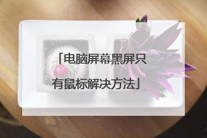 电脑屏幕黑屏只有鼠标解决方法