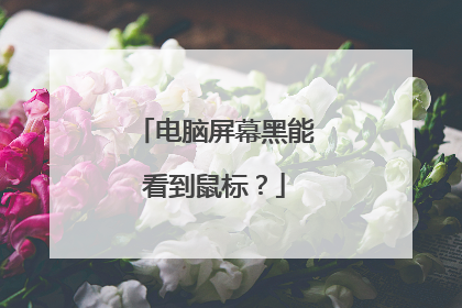 电脑屏幕黑能看到鼠标？