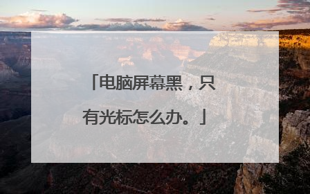 电脑屏幕黑,只有光标怎么办。