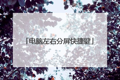 电脑左右分屏快捷键