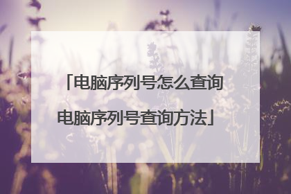 电脑序列号怎么查询电脑序列号查询方法