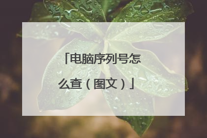电脑序列号怎么查（图文）