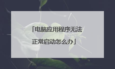 电脑应用程序无法正常启动怎么办