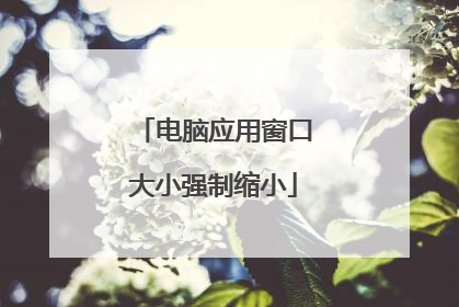 电脑应用窗口大小强制缩小