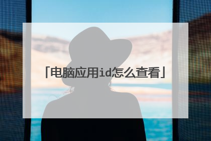 电脑应用id怎么查看