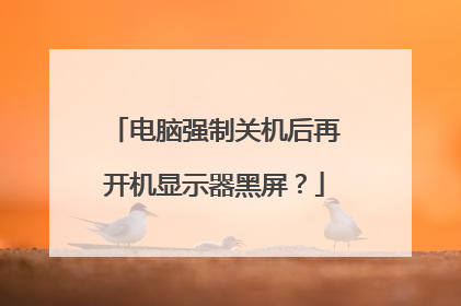 电脑强制关机后再开机显示器黑屏？