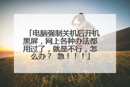 电脑强制关机后开机黑屏,网上各种办法都用过了,就是不行,怎么办? 急!!!