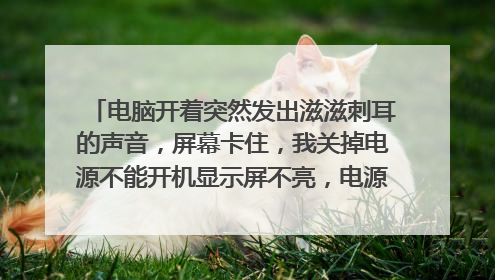 电脑开着突然发出滋滋刺耳的声音,屏幕卡住,我关掉电源不能开机显示屏不亮,电源开起来一会就暗掉了是怎