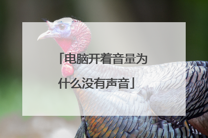 电脑开着音量为什么没有声音