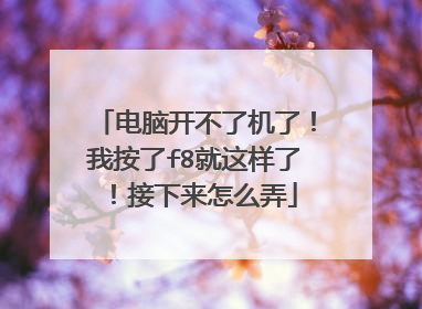 电脑开不了机了!我按了f8就这样了!接下来怎么弄