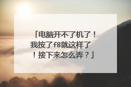 电脑开不了机了！我按了f8就这样了！接下来怎么弄？