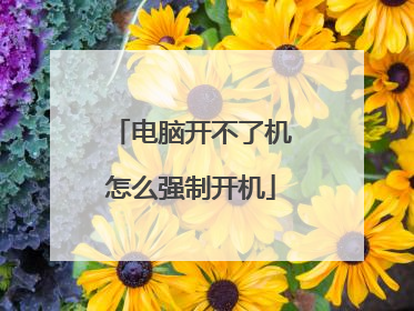 电脑开不了机怎么强制开机