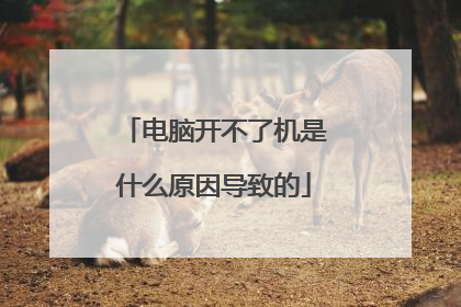 电脑开不了机是什么原因导致的