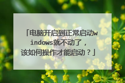 电脑开启到正常启动windows就不动了,该如何操作才能启动?