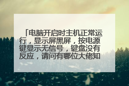 电脑开启时主机正常运行,显示屏黑屏,按电源键显示无信号,键盘没有反应,请问有哪位大佬知道怎么办吗?
