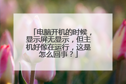 电脑开机的时候，显示屏无显示，但主机好像在运行，这是怎么回事？