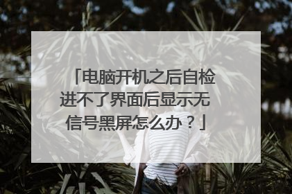 电脑开机之后自检进不了界面后显示无信号黑屏怎么办?