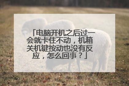 电脑开机之后过一会就卡住不动，机箱关机键按动也没有反应，怎么回事？