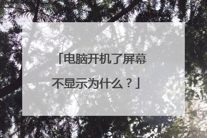 电脑开机了屏幕不显示为什么?