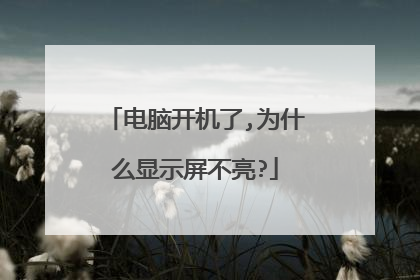 电脑开机了,为什么显示屏不亮?