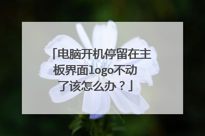 电脑开机停留在主板界面logo不动了该怎么办?