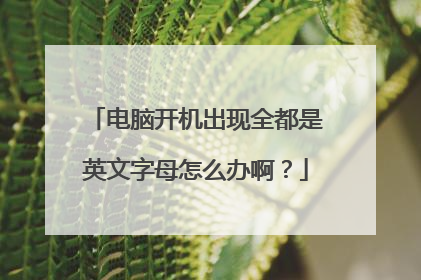 电脑开机出现全都是英文字母怎么办啊？