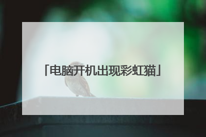 电脑开机出现彩虹猫