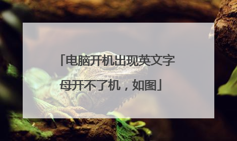 电脑开机出现英文字母开不了机,如图
