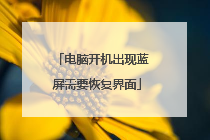 电脑开机出现蓝屏需要恢复界面