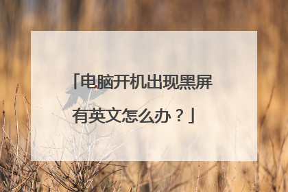 电脑开机出现黑屏有英文怎么办?