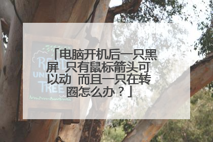电脑开机后一只黑屏 只有鼠标箭头可以动 而且一只在转圈怎么办?