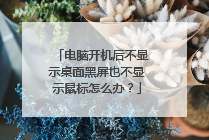 电脑开机后不显示桌面黑屏也不显示鼠标怎么办?