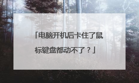 电脑开机后卡住了鼠标键盘都动不了？