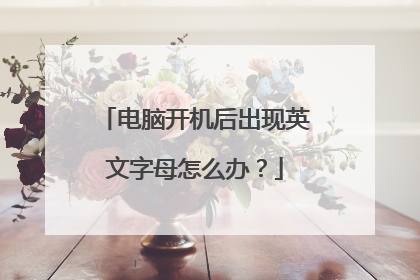 电脑开机后出现英文字母怎么办?