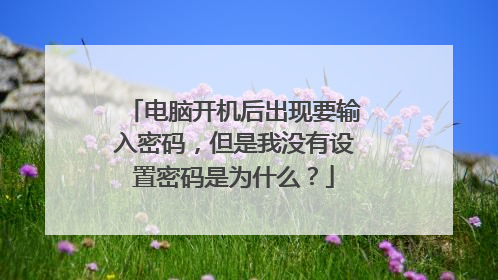 电脑开机后出现要输入密码，但是我没有设置密码是为什么？