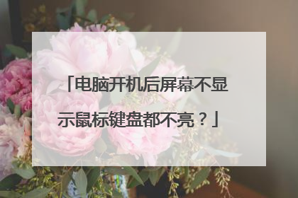 电脑开机后屏幕不显示鼠标键盘都不亮？