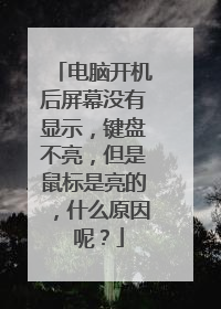 电脑开机后屏幕没有显示,键盘不亮,但是鼠标是亮的,什么原因 呢?
