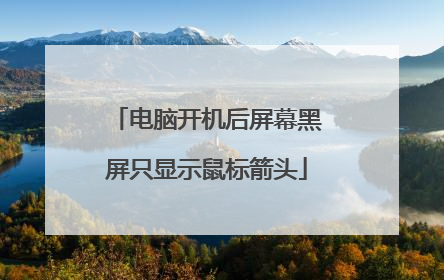 电脑开机后屏幕黑屏只显示鼠标箭头