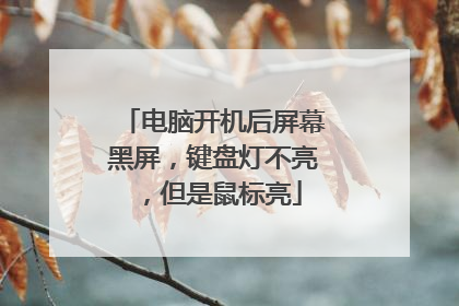 电脑开机后屏幕黑屏,键盘灯不亮,但是鼠标亮