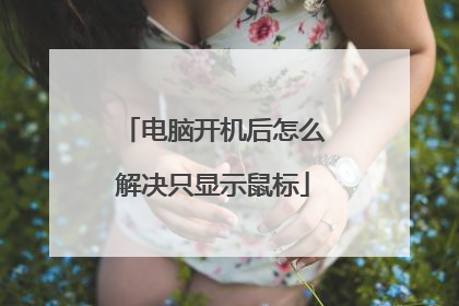 电脑开机后怎么解决只显示鼠标