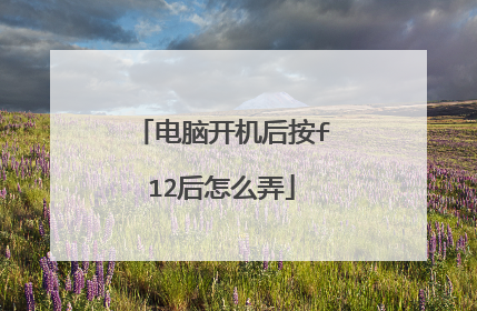 电脑开机后按f12后怎么弄