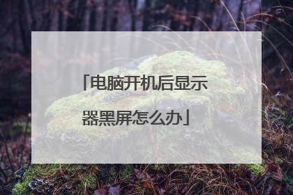 电脑开机后显示器黑屏怎么办
