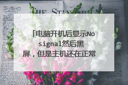 电脑开机后显示No signal然后黑屏,但是主机还在正常运行怎么回事
