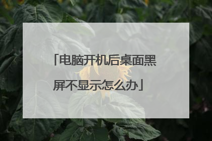电脑开机后桌面黑屏不显示怎么办