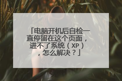 电脑开机后自检一直停留在这个页面,进不了系统(XP),怎么解决?