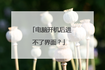 电脑开机后进不了界面？